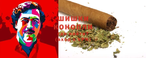 стафф Горно-Алтайск