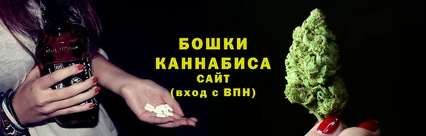 стафф Горнозаводск