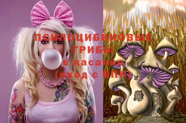 стафф Горнозаводск