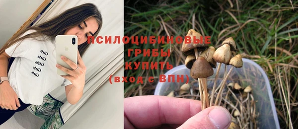 стафф Горно-Алтайск